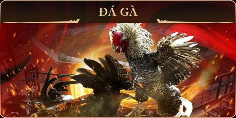 Chinh Phục Sàn Đấu Đá Gà GA28 Tại TK88 Với Chiến Thuật Vàng