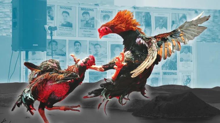 Bí Kíp Chơi Đá Gà Sabong TK88 Bất Bại Cho Kê Thủ Đỉnh Cao