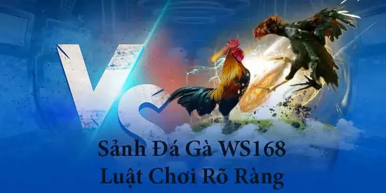 Chinh Phục Đấu Trường Đá Gà WS168 Tại TK88 Cực Cháy