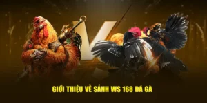 Chinh Phục Đấu Trường Đá Gà WS168 Tại TK88 Cực Cháy 1 Chinh Phục Đấu Trường Đá Gà WS168 Tại TK88 Cực Cháy